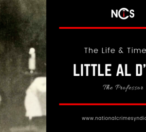 The Life and Times of Little Al D'Arco, The Professor