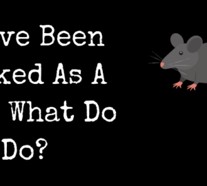 You've Been Marked As A Rat, What Do You Do? (POLL)