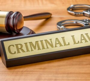 The Main Principles of Criminal Law