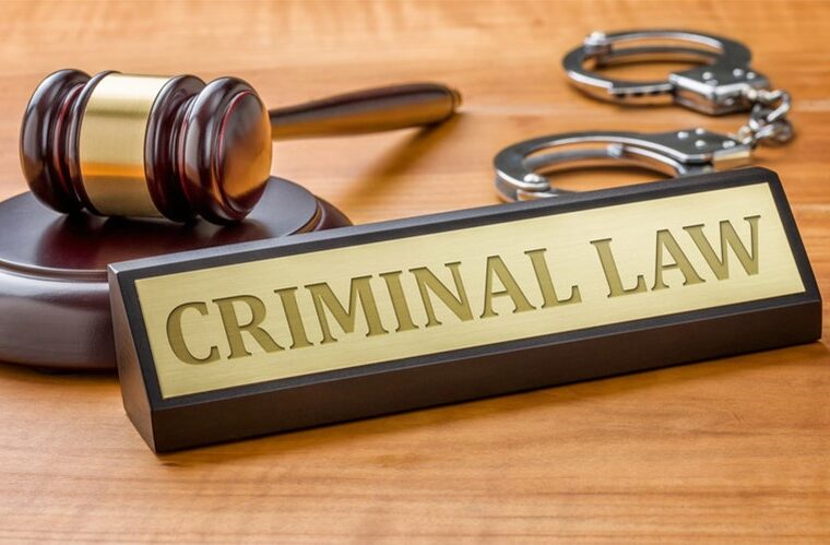 The Main Principles of Criminal Law